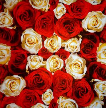 215 Roses - 3-ply - Stewo