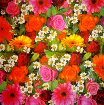 228 Rosen - 3-lagig - Atelier