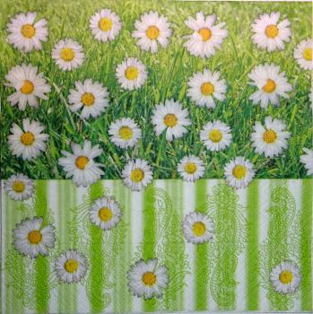 009 Gänseblümchen  - 3 lagig - Paper Design