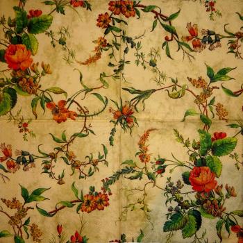 240 Roses - 3-ply (cream/gold) - V&A Museum - William Kilburn