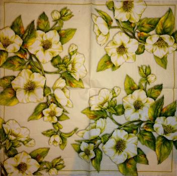 251 Roses - 3-ply (weiß) - Ihr