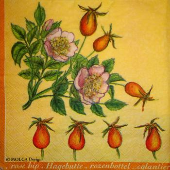 257 Rosen - 3-lagig - MOLCA