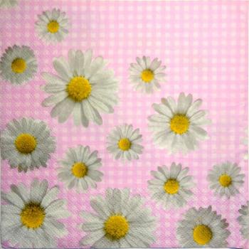 126 Daisies  - 3 ply - Atelier