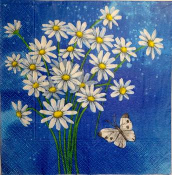 127 Daisies  - 3 ply - Susy Card