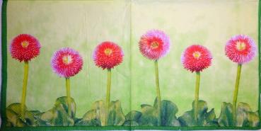 012 Gänseblümchen  - 3 ply - (grün) - Ihr