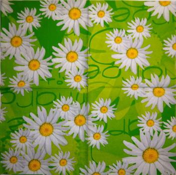 150 Daisies  - 3 ply