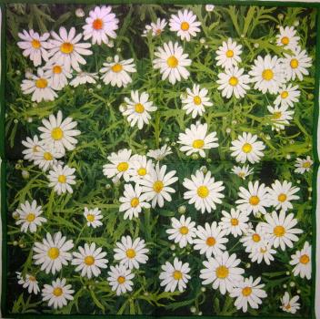 153 Daisies  - 3 ply - CS - Ihr