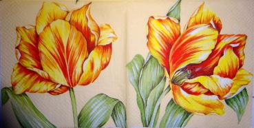 080 Tulpen - 3 lagig
