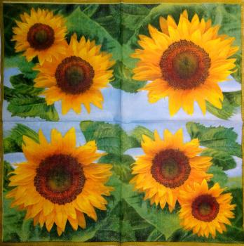 084 Sunflowers - 3-ply - Ihr