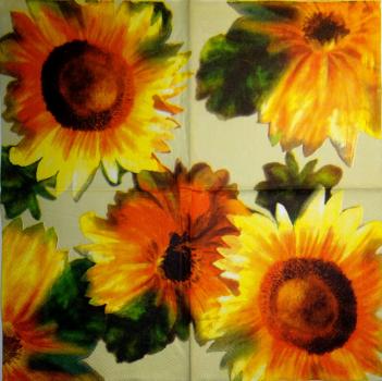 092 Sunflowers - 3-ply (cream) - Ihr
