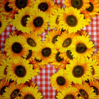 098 Sonnenblumen - 3-lagig