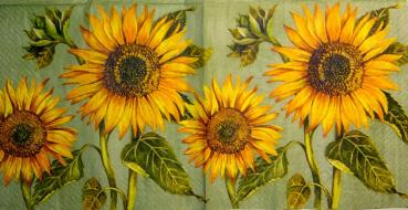 023 Sonnenblumen - 3-lagig (grün)