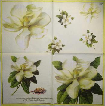 022 Magnolien - 3 lagig - (gelb) - Ihr