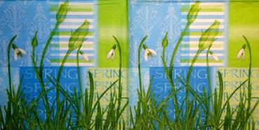 054 Narzissen - 3-lagig - 4 you