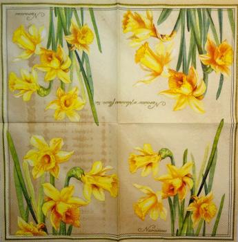 044 Daffodils - 3-ply (beige)