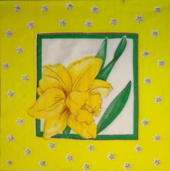 064 Daffodils - 3-ply
