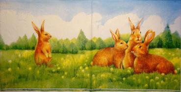 004 Rabbits:  natürlich - 3 ply - Ihr