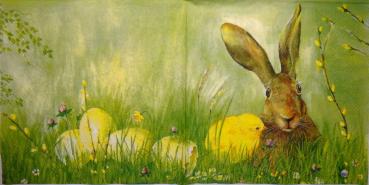 005 Rabbits:  natürlich - 3 ply - Ihr