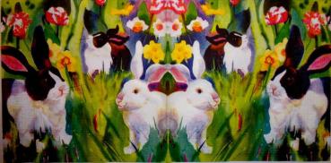 019 Rabbits:  natürlich - 3-ply - ppd - Kay Collins