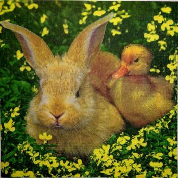 028 Rabbits:  natürlich - 3-ply - ppd - Künstler