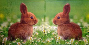 032 Rabbits:  natürlich - 3-ply - Stewo