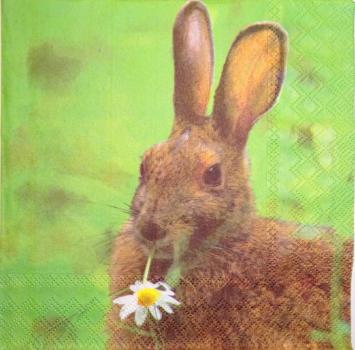 034 Rabbits:  natürlich - 3-ply - Ambiente
