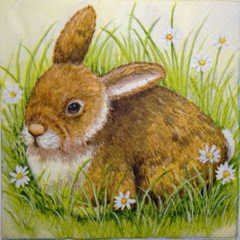 035 Rabbits:  natürlich - 3-ply