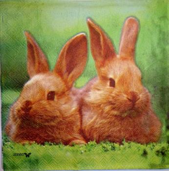 036 Rabbits:  natürlich - 3-ply - Stewo