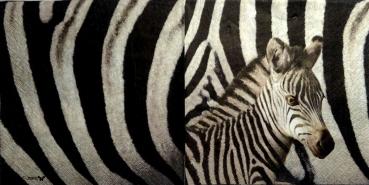 026 Zebra - 3-lagig - Stewo