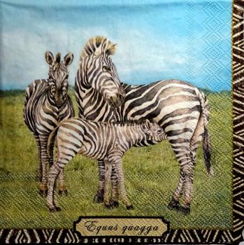 017 Zebra - 3-lagig - Ambiente
