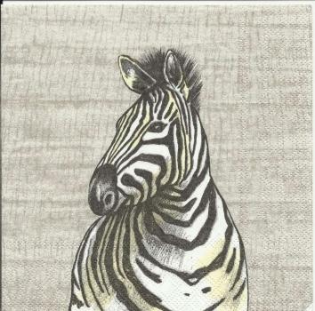 015 Zebra - 3-lagig - ppd
