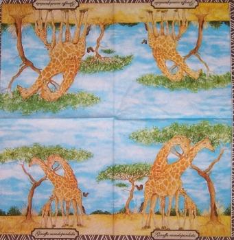 007 Giraffe (60f)- 3-ply - Ambiente