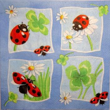 036 Marienkäfer - 3-ply (blue) - Stewo