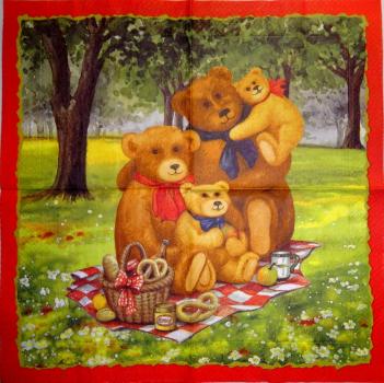 050 Teddy - 3 ply
