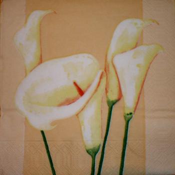 001 Calla - 3-lagig - Duni