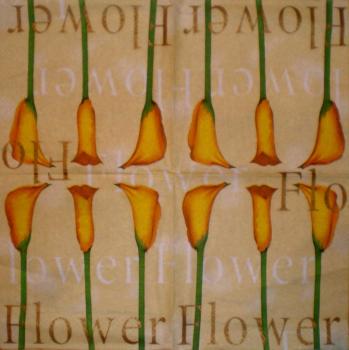 003 Calla - 3-ply - Paper Design