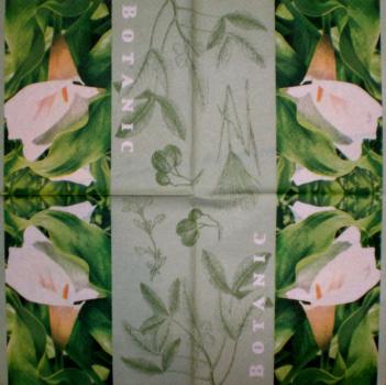 005 Calla - 3-lagig