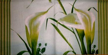008 Calla - 3-lagig