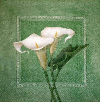 013 Calla - 3-lagig - Ambiente - CS