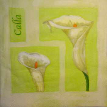 014 Calla - 3-ply