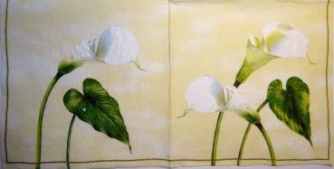 017 Calla - 3-ply (cream) - Ihr  V&A Museum
