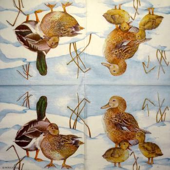 038 Enten - 3-lagig - MOLCA