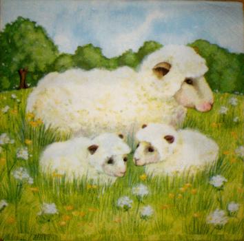 024 Sheep - 3-ply - Herlitz