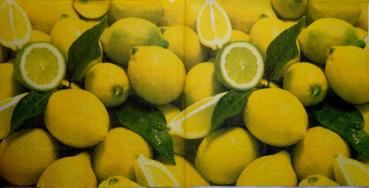 081 Lemons,  Oranges - 3 ply - Andrea Tilk