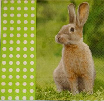 052 Rabbits:  natürlich - 3-ply