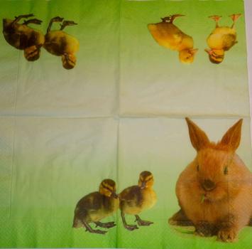 057 Rabbits:  natürlich - 3-ply - Susy Card