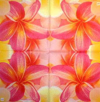 109 Orchids - 3 ply - ppd - Chris Zalewski