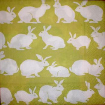 073 Rabbits:  natürlich - 3-ply (grün)