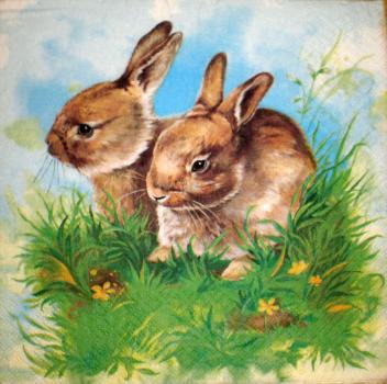 076 Rabbits:  natürlich - 3 ply  - Home Fashion