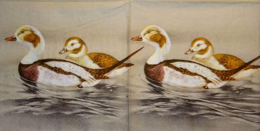 045 Enten - 3-lagig (braun) - Paw